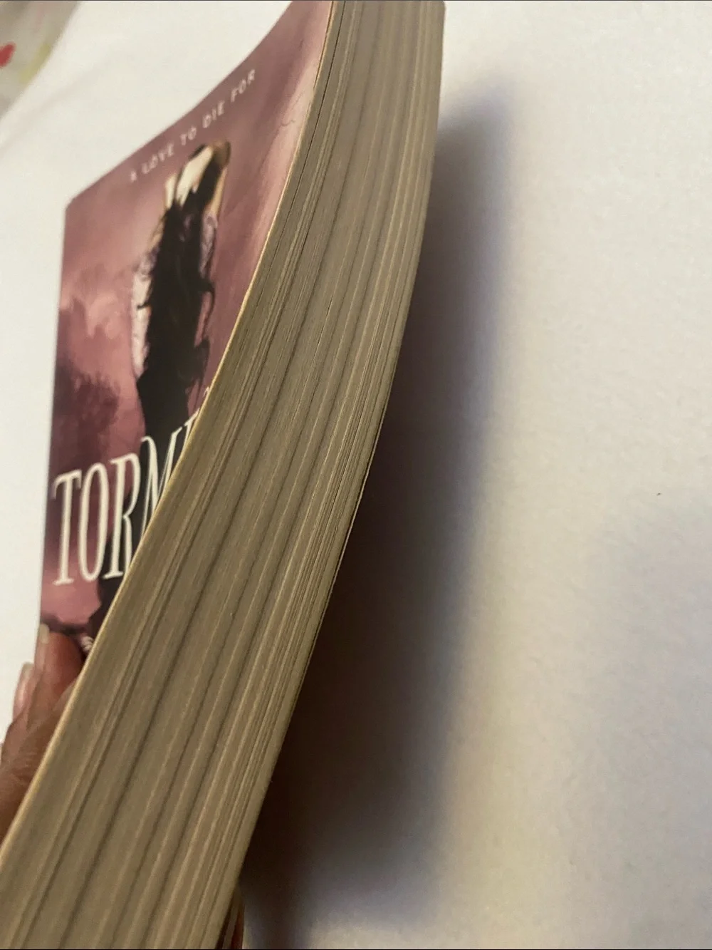 Torment by Lauren Kate - Pink Novel Cover